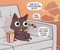 Kissen luonto-ohjelma