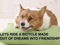 Ajetaan unelmista tehdyllä polkupyörällä :3