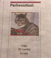 Ville 10v ei juhli