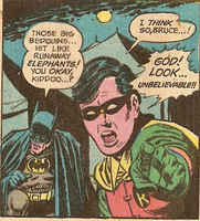 Uskomattomat beduiinit