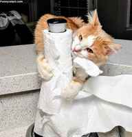 Niin hyvää paperia