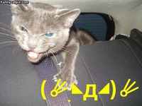 Tervetuloa kynsikaupunkiin >:3