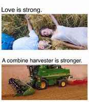 Love is strong!