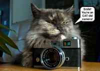 Hymyile :3 (Koska olet kissekamerassa)