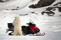 Norjalainen kelkkareissulla