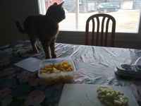 Tulin vain tänne tarkastelemaan :3