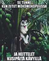Joskus vaan tuntuu tältä