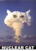 Nuclear cat