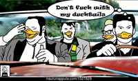 Ducktails