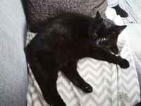 Taasko kuvaat minua >:3