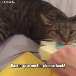 Baxter don't share