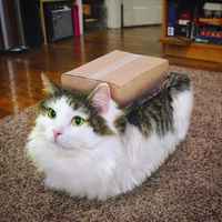 Sillä välin rinnakkaistodellisuudessa :3