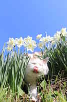 Elämän polun varrella on hyvä pysähtyä lipaisemaan nenää :3