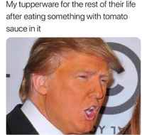 Sit vielä ei oo mikron kestävä