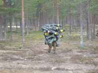 Kun kaverit pyytää panssarintorjuntaa