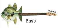 Bass