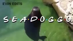 Sea doggos