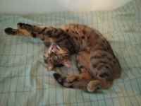 Heräsin YYYYAAAAH! :3