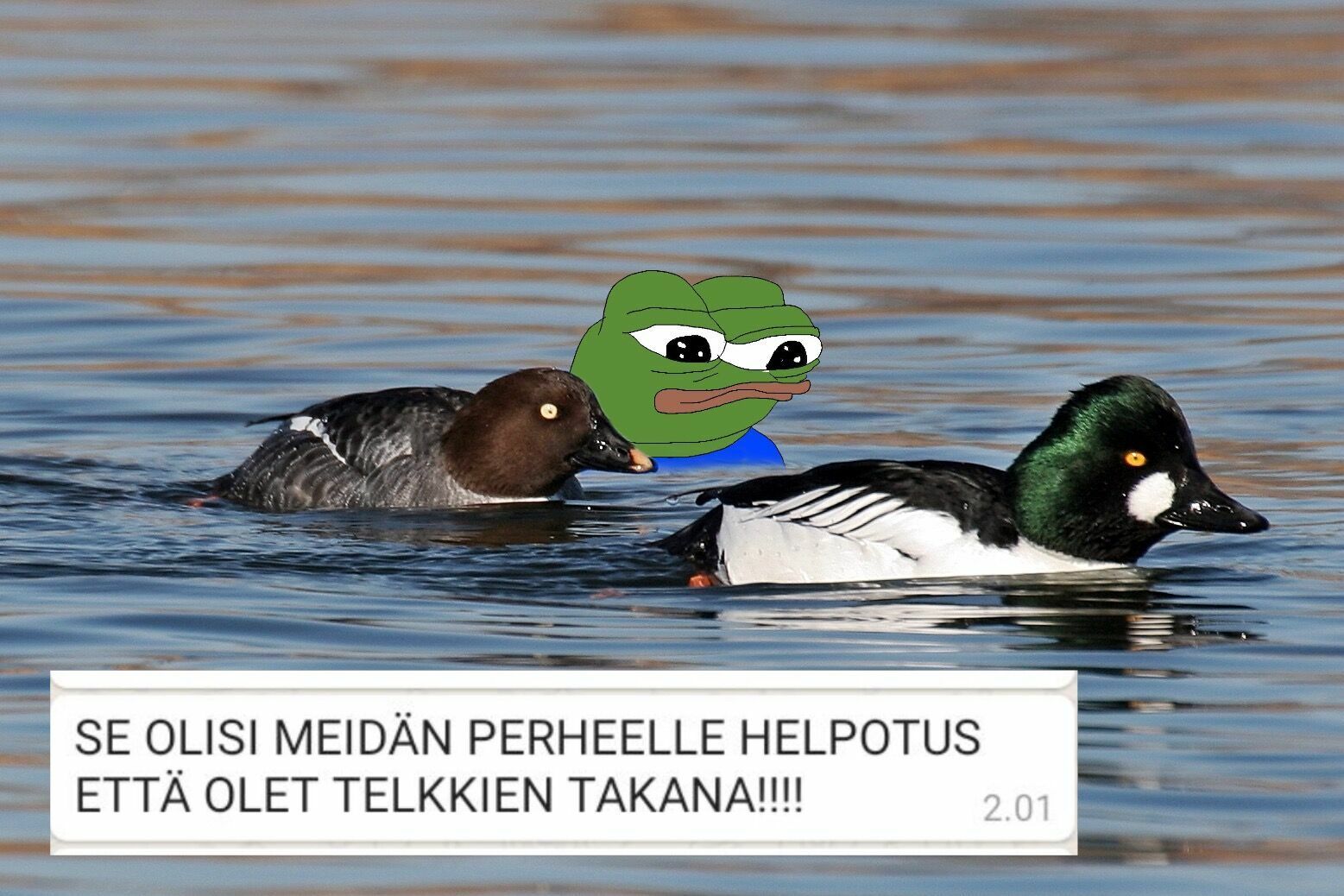 telkkien_takana.jpg