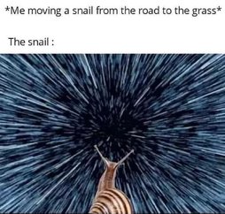 Snail