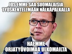 Pari kuvaa tässä joutessaan