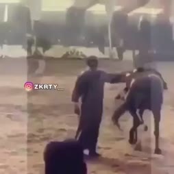 Muhamadin hevonen