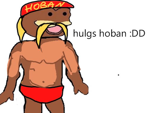 huks hoban :D