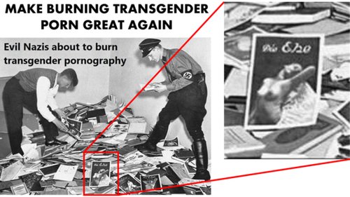 Natsien kirjarovioilla poltettiin homo ja transupornoa