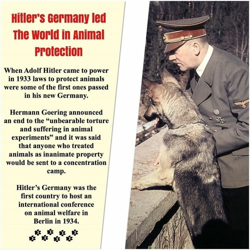 Hitler asetti ensimmäisenä eläin- ja luonnononsuojelulakeja