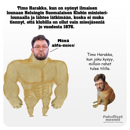 Timo Harakka