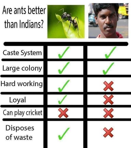 Muurahaiset vs intialaiset