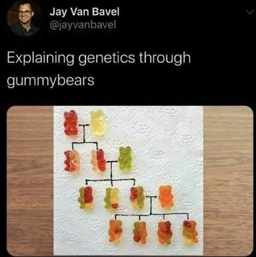 Genetiikkaa