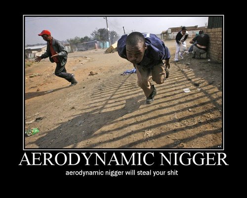 aerodynamic nigger
