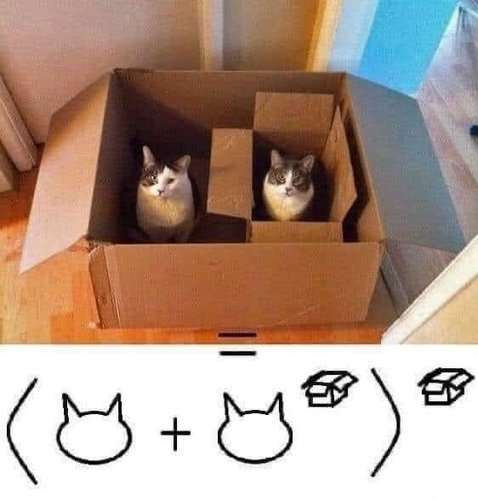 Cat Math
