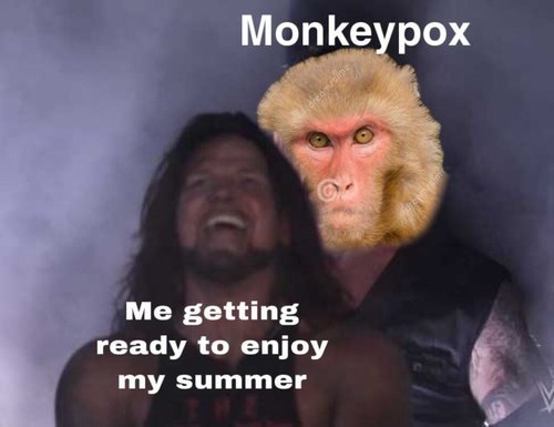 monkeypox ruins next summer