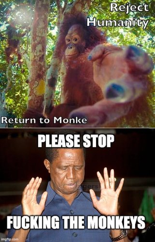 stop fucking monkeys