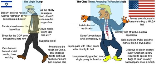 Virgin Trump vs Chad Media Trump