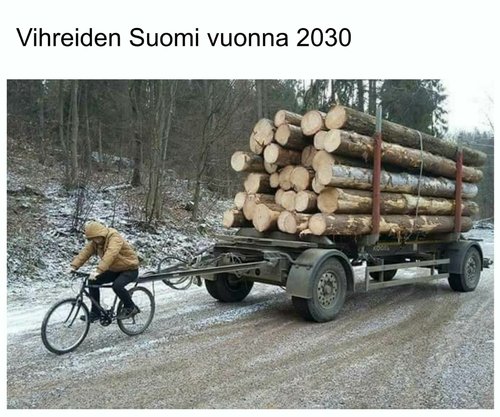 Suomi 2030
