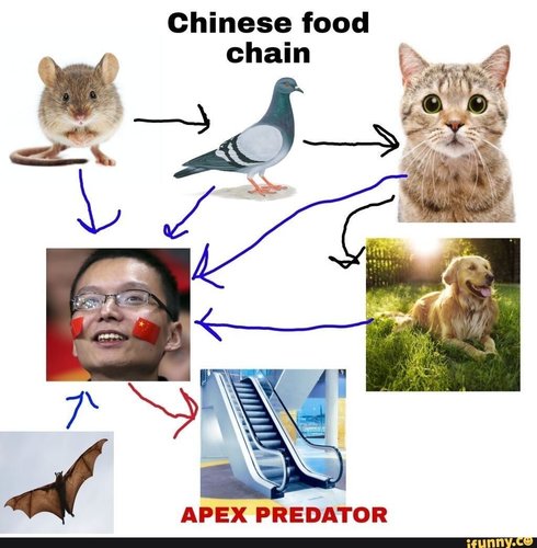Kiinalainen ravintoketju