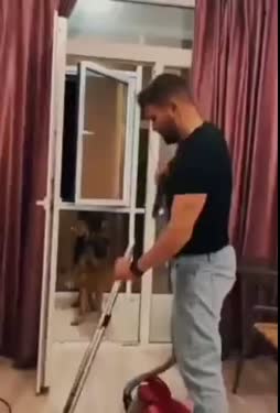 Koira pelastaa isäntänsä