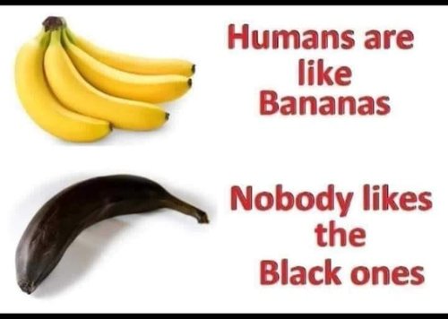 ihmiset ovat kuin banaaneja