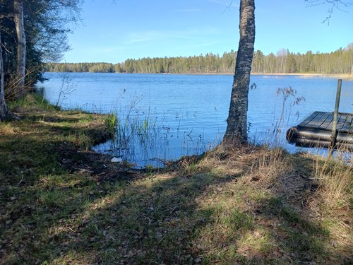 Homojärvi