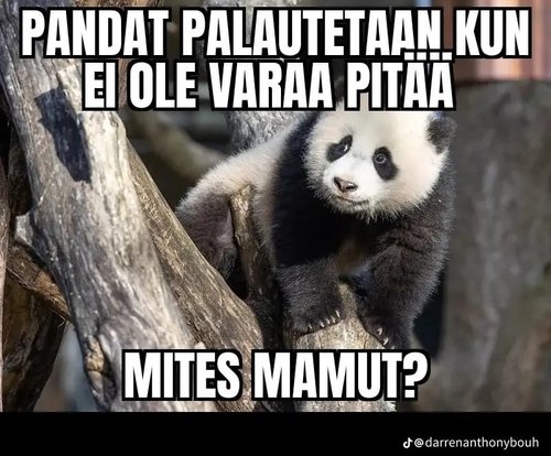 Pandat perkele