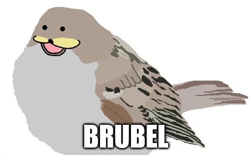 brubel