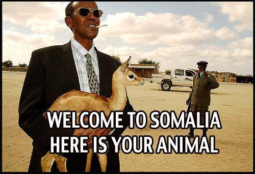 welocome to somalia