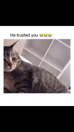 I trusted you😾