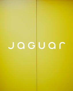 Jaguar, mämmi, spandex