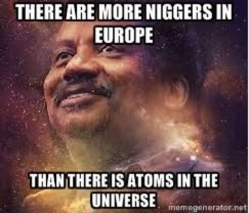 universal niggers