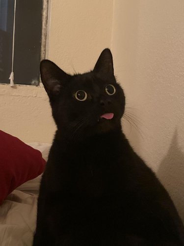 mlem