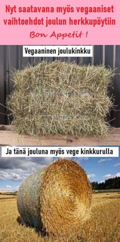 vegekinkkua jouluksi